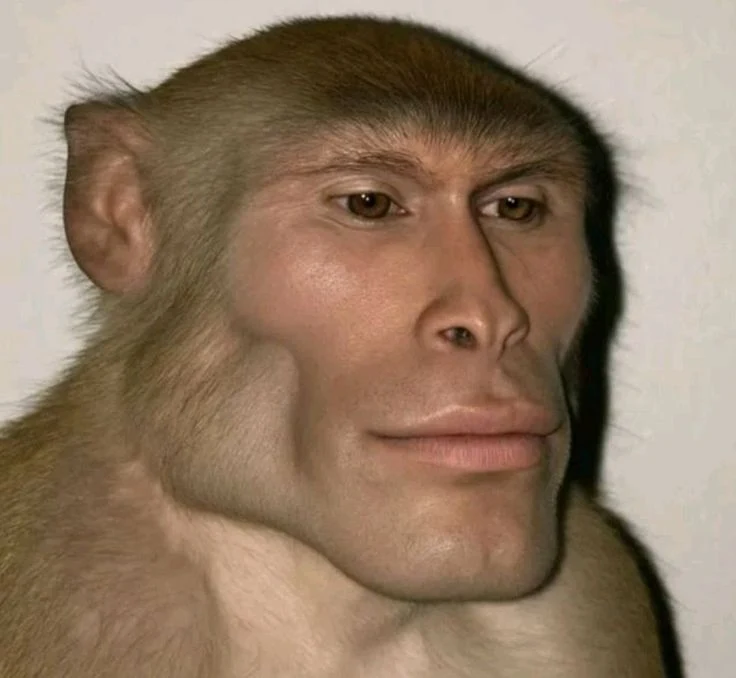 Original Sigma Ape face