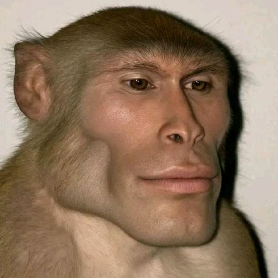 Sigma Ape profile